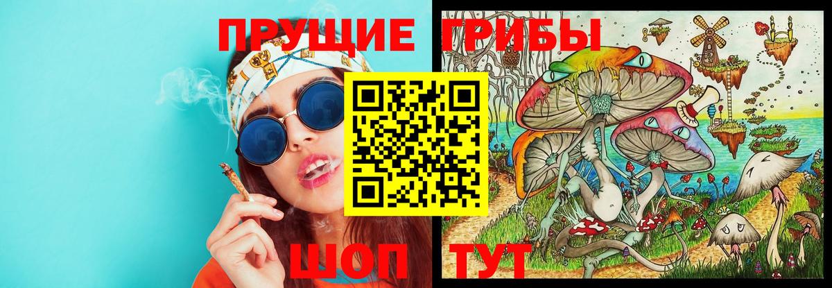 Котлас  Псилоцибиновые грибы GOLDEN TEACHER  Псилоцибиновые грибы Psilocybe  Вход с VPN 